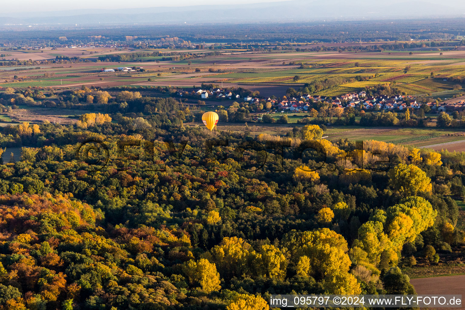 Vue aérienne de Hergersweiler dans le département Rhénanie-Palatinat, Allemagne