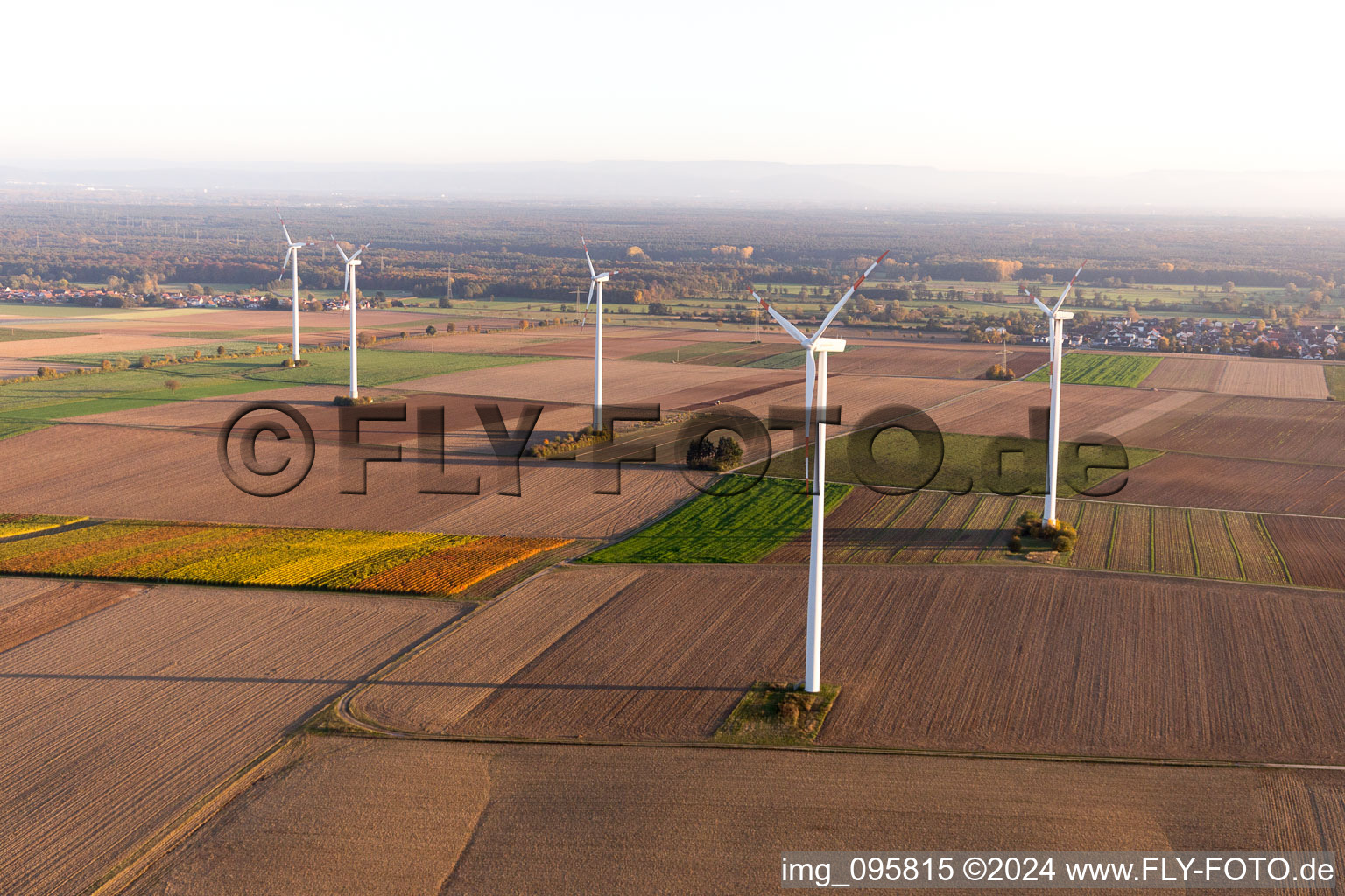 Vue oblique de Minfeld dans le département Rhénanie-Palatinat, Allemagne