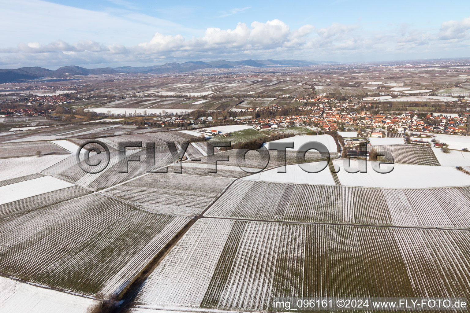 Vue aérienne de Quartier Ingenheim in Billigheim-Ingenheim dans le département Rhénanie-Palatinat, Allemagne