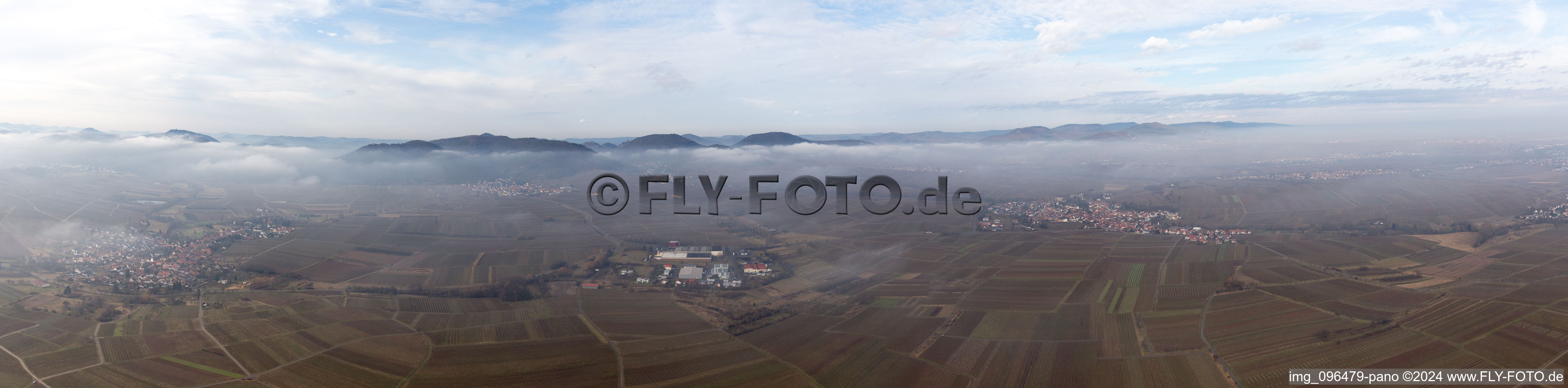 Vue aérienne de Panorama à Göcklingen dans le département Rhénanie-Palatinat, Allemagne