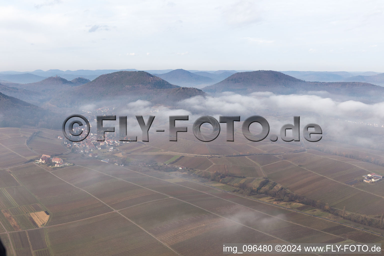 Photographie aérienne de Leinsweiler dans le département Rhénanie-Palatinat, Allemagne