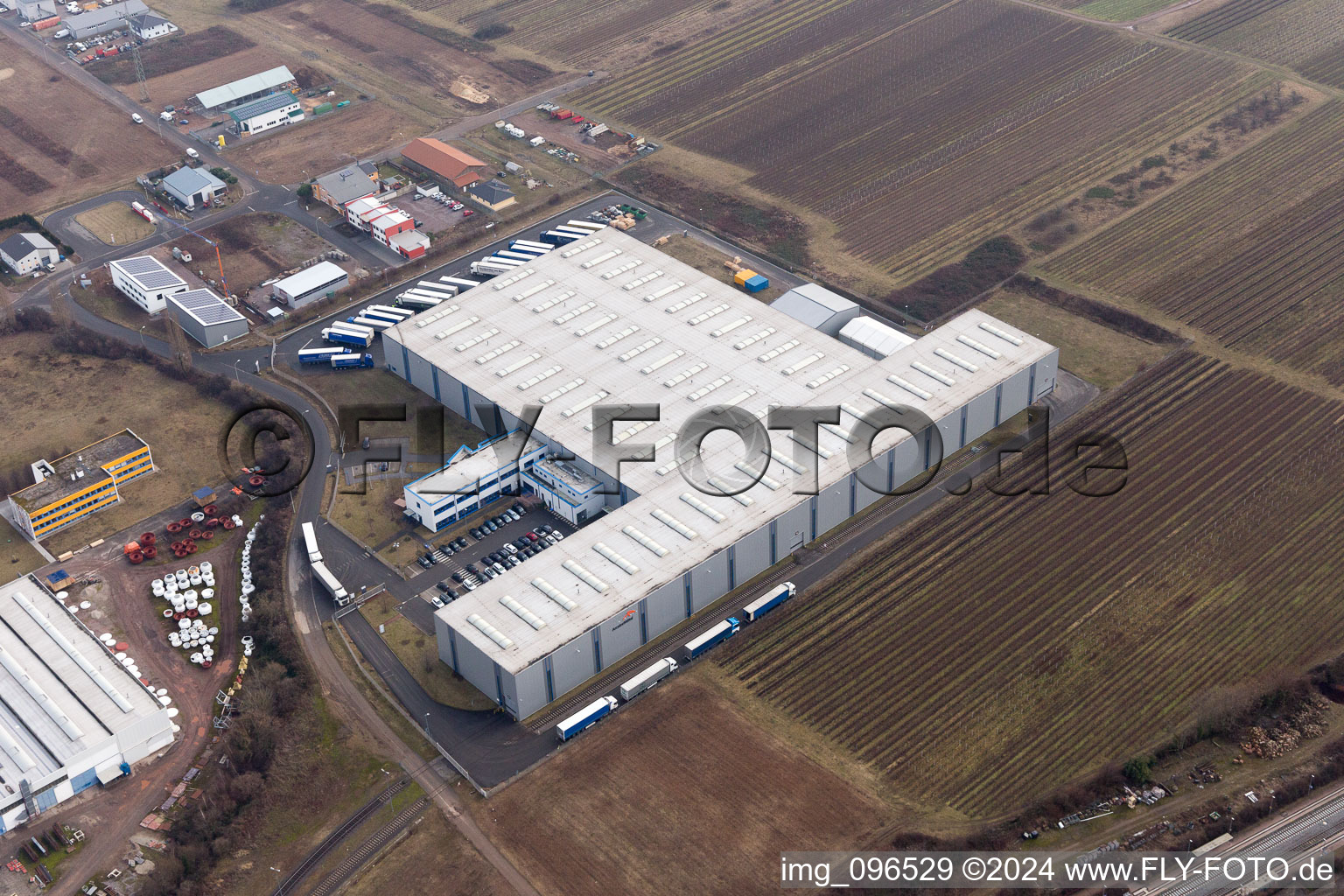 Photographie aérienne de Locaux de l'usine de Tenneco Automotive Deutschland GmbH à Edenkoben dans le département Rhénanie-Palatinat, Allemagne