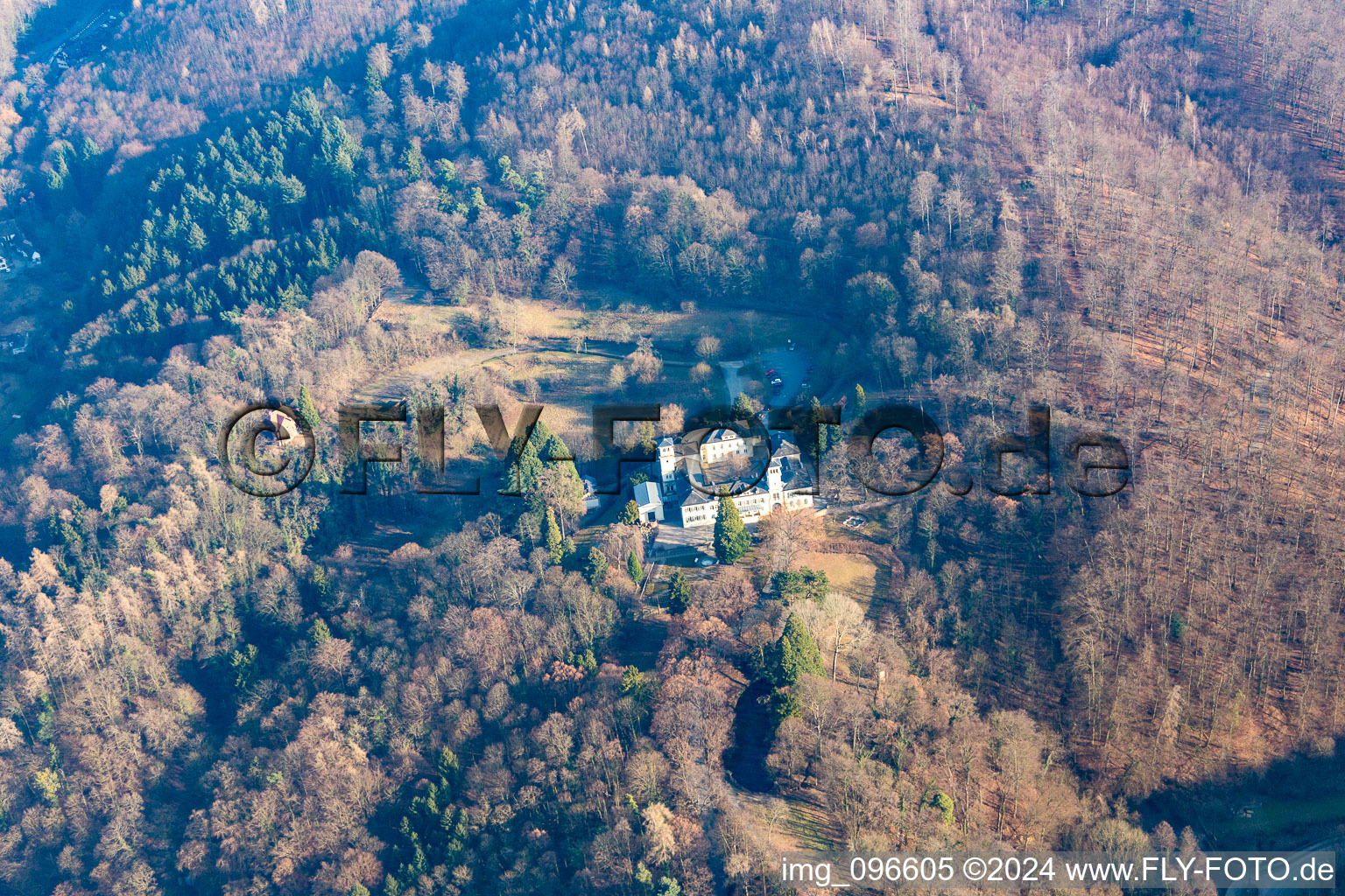 Vue aérienne de Château d'Heiligenberg à Seeheim-Jugenheim dans le département Hesse, Allemagne