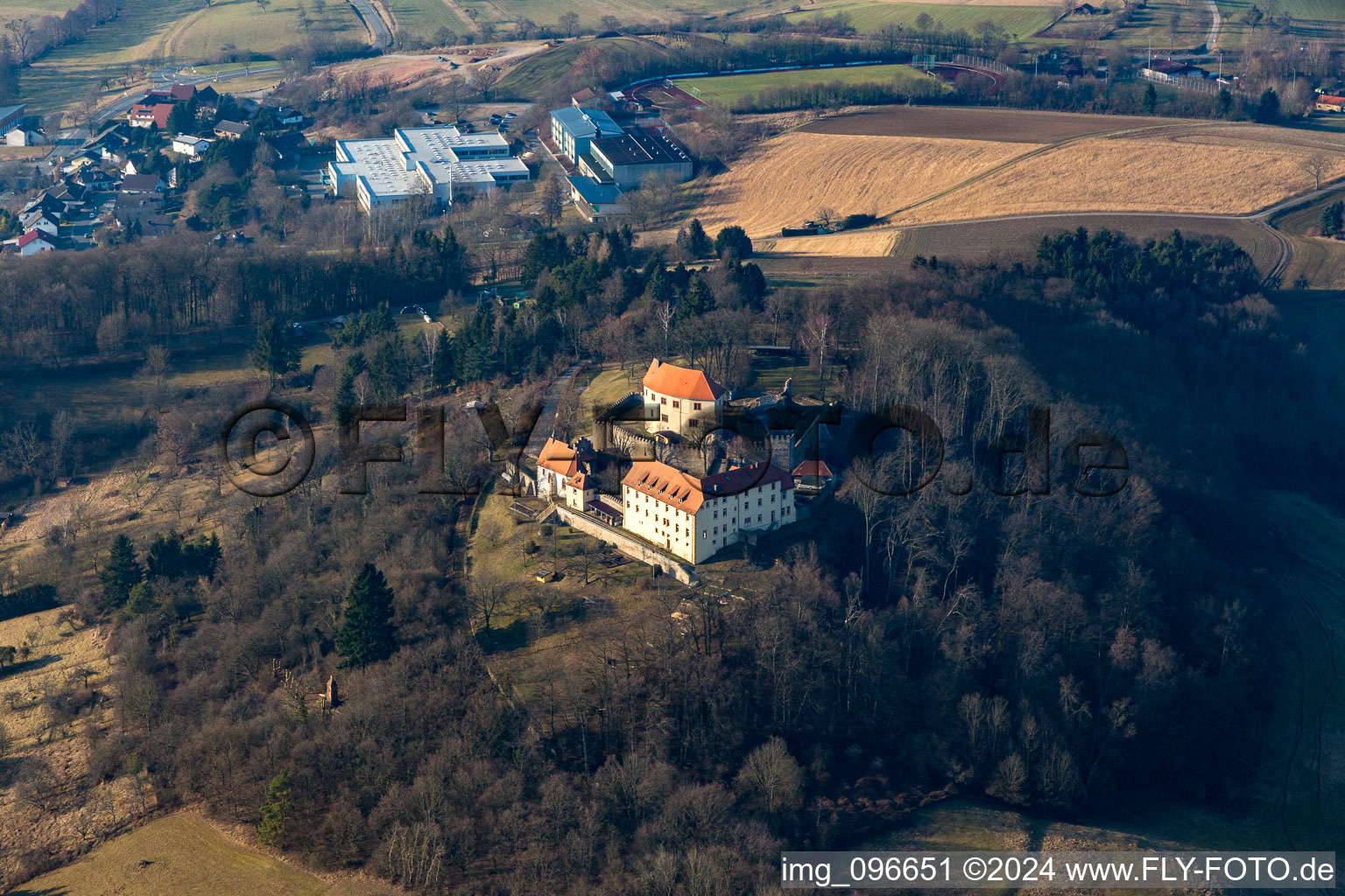 Photographie aérienne de Château Reichelsheim à Reichelsheim dans le département Hesse, Allemagne