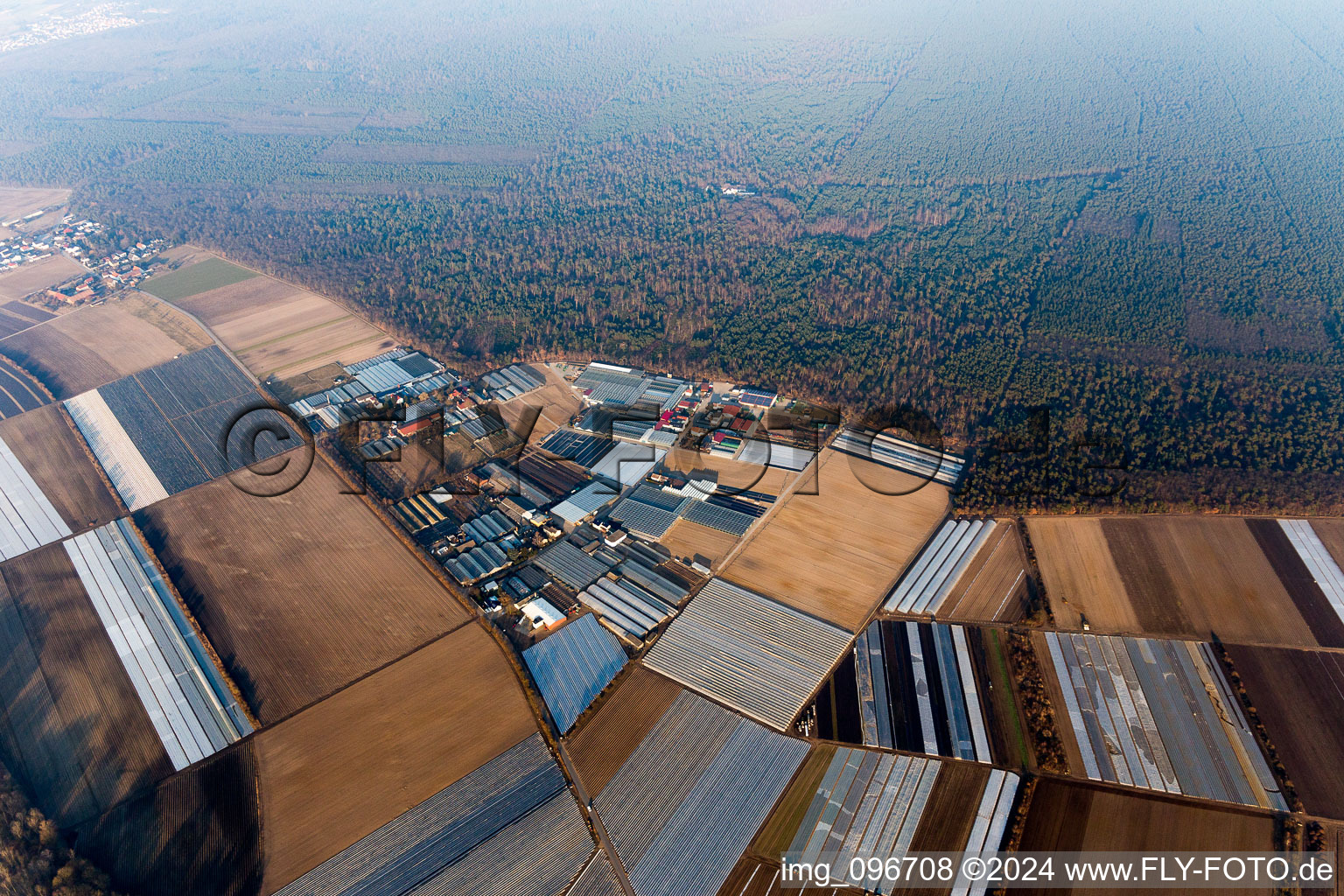 Lampertheim dans le département Hesse, Allemagne vue d'en haut