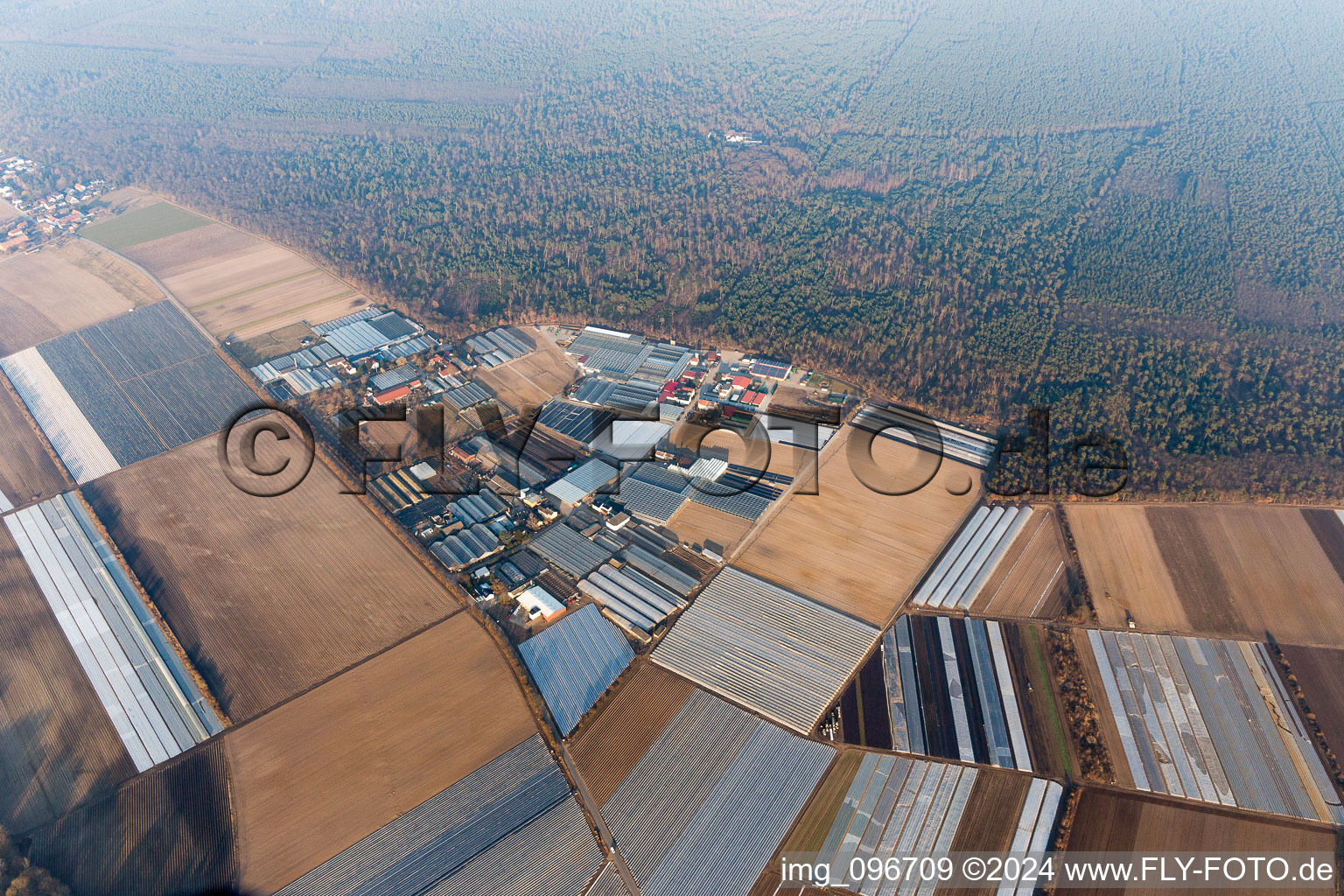 Lampertheim dans le département Hesse, Allemagne depuis l'avion