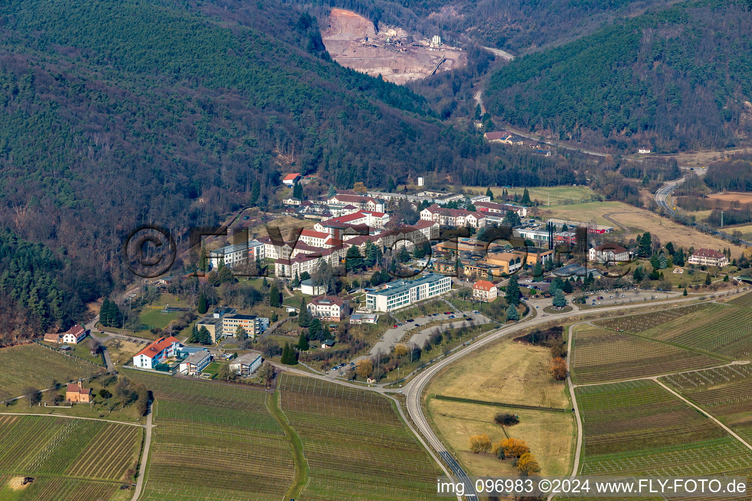 Vue aérienne de Clinique du Palatinat à Klingenmünster dans le département Rhénanie-Palatinat, Allemagne