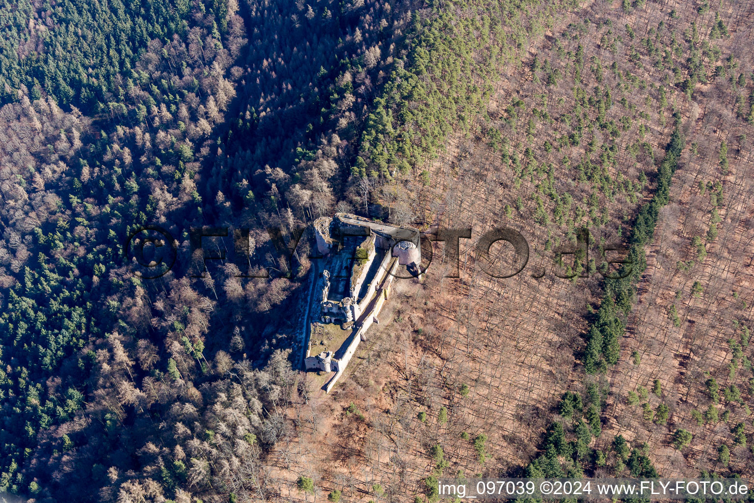 Vue aérienne de Ruines et vestiges des murs de l'ancien complexe du château et du château de Neuscharfeneck à Ramberg dans le département Rhénanie-Palatinat, Allemagne