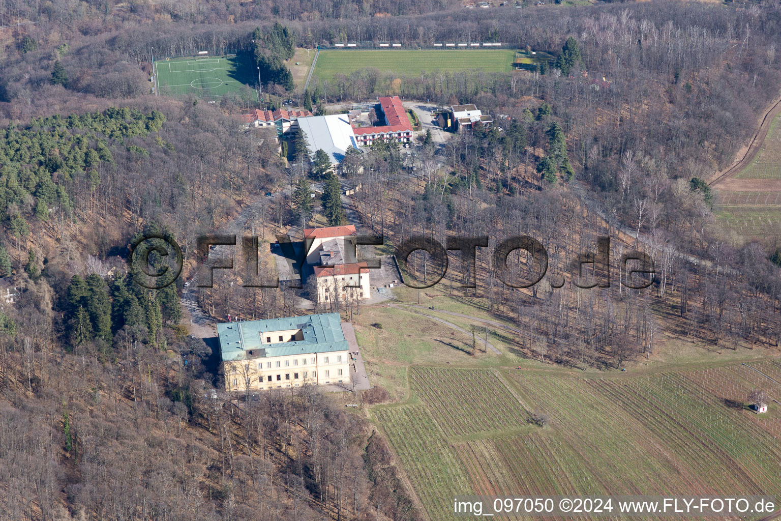 Vue aérienne de Château de la Villa Ludwigshöhe à Weyher in der Pfalz dans le département Rhénanie-Palatinat, Allemagne