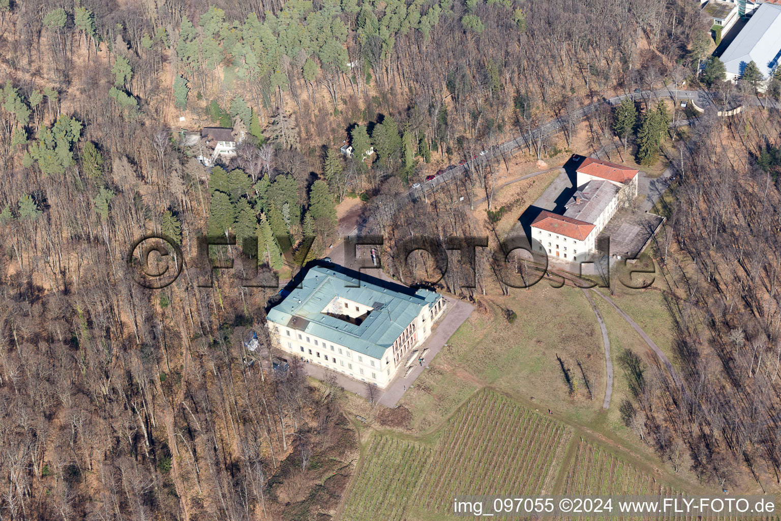 Photographie aérienne de Château de la Villa Ludwigshöhe à Weyher in der Pfalz dans le département Rhénanie-Palatinat, Allemagne