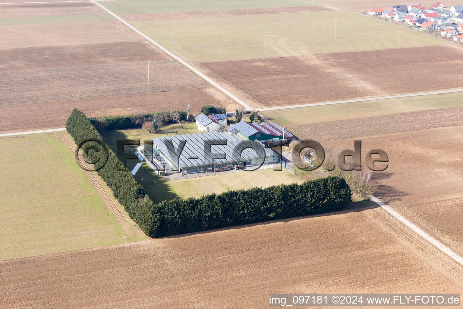 Steinweiler dans le département Rhénanie-Palatinat, Allemagne vu d'un drone