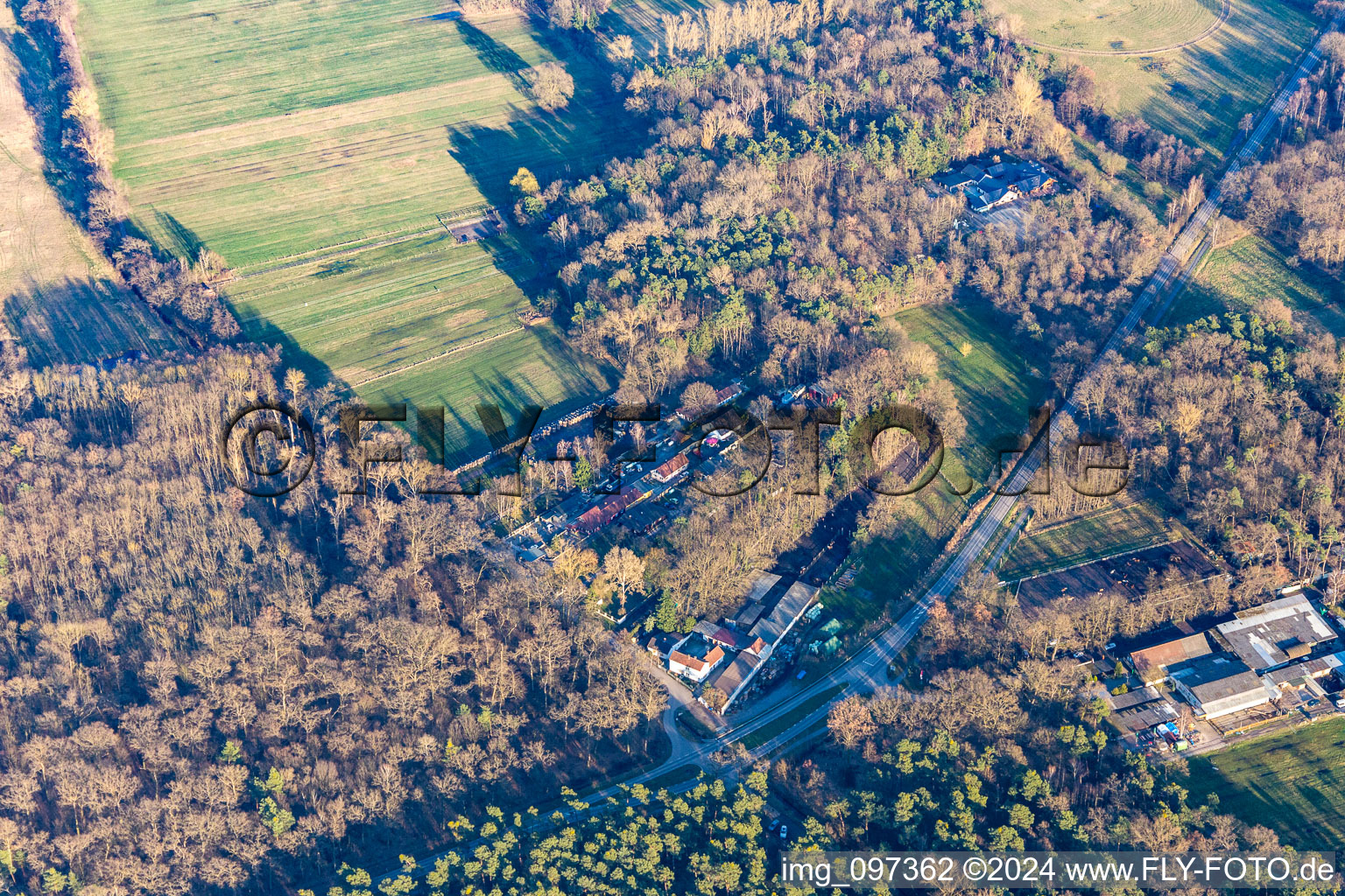 Haßloch dans le département Rhénanie-Palatinat, Allemagne vue d'en haut