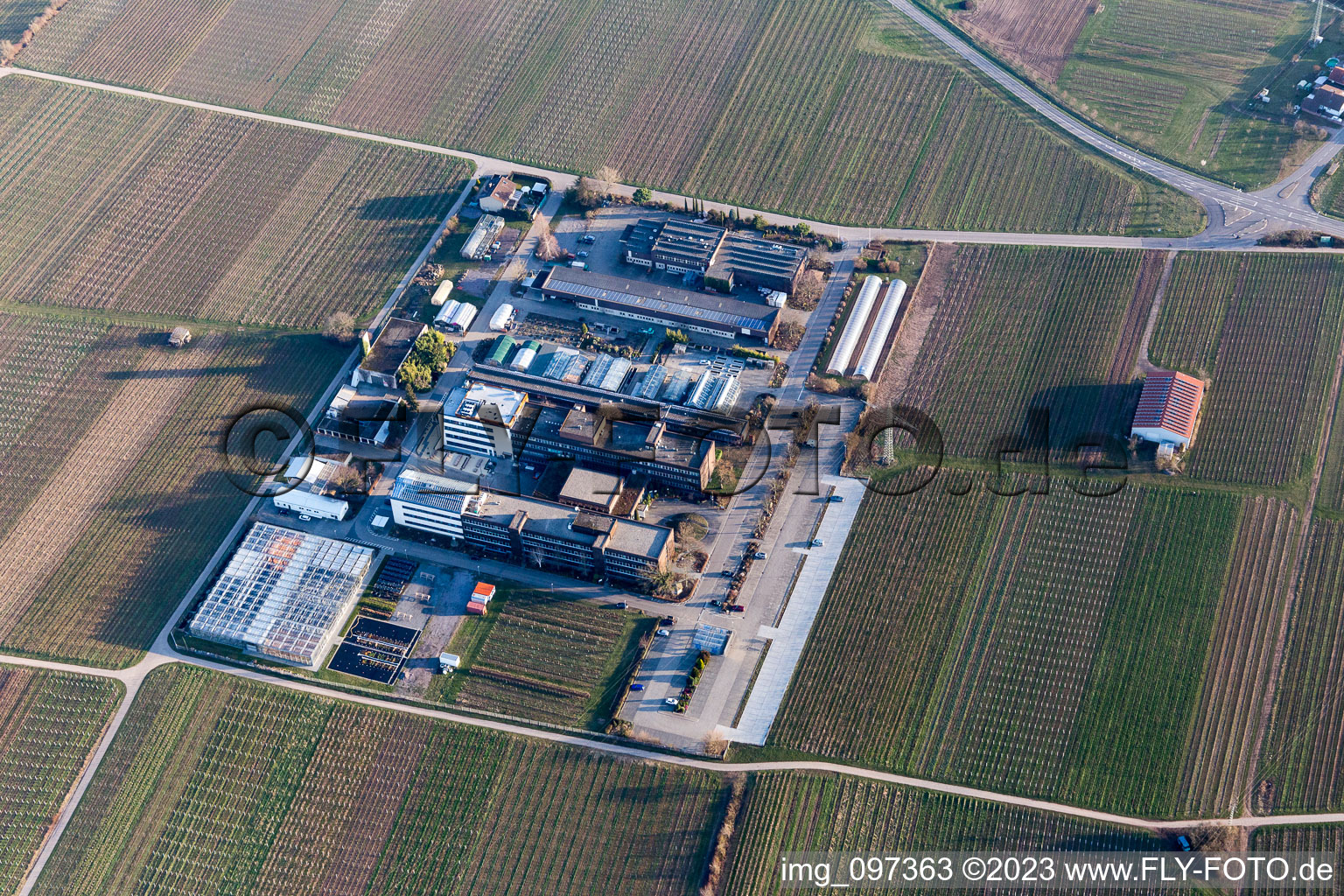 Vue aérienne de RLP Agroscience à le quartier Mußbach in Neustadt an der Weinstraße dans le département Rhénanie-Palatinat, Allemagne