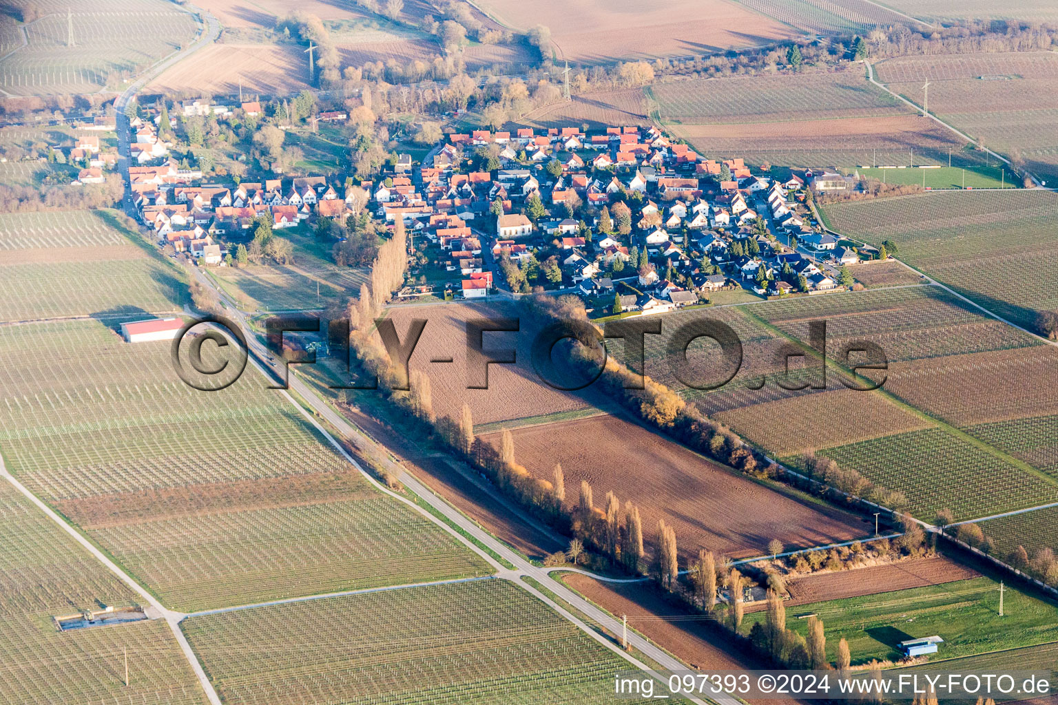 Photographie aérienne de Walsheim dans le département Rhénanie-Palatinat, Allemagne