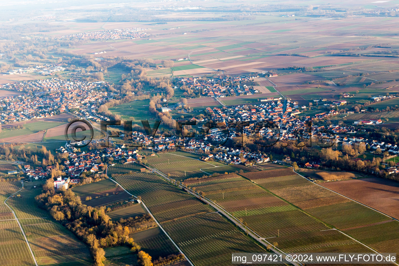 Vue oblique de Quartier Billigheim in Billigheim-Ingenheim dans le département Rhénanie-Palatinat, Allemagne