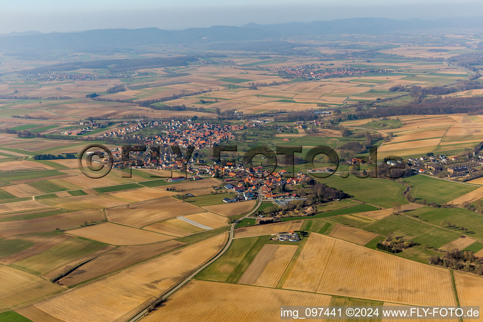 Vue aérienne de Champs agricoles et surfaces utilisables à Hoffen dans le département Bas Rhin, France