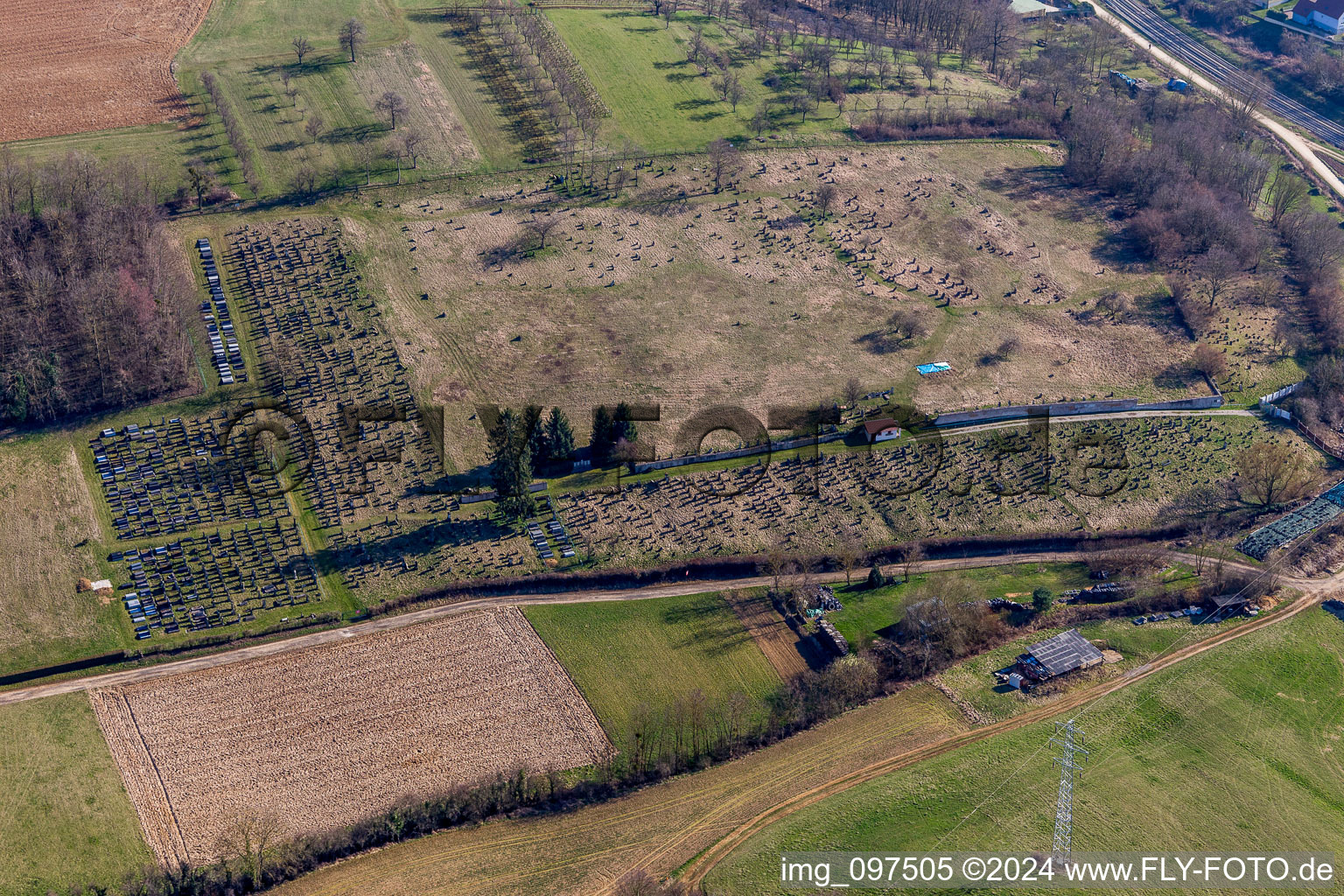 Vue aérienne de Cimetière à Ettendorf dans le département Bas Rhin, France