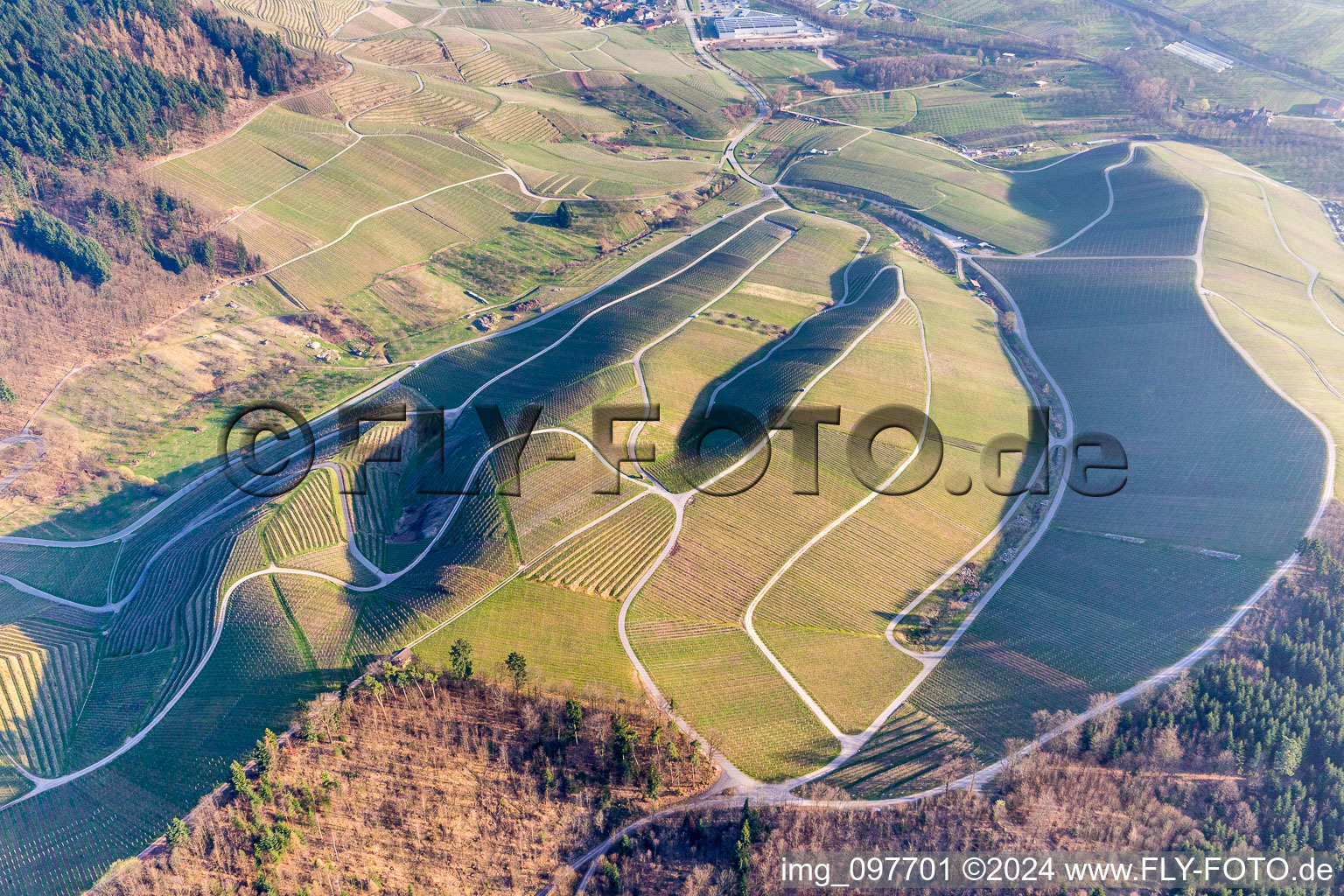 Vue aérienne de Paysage viticole des régions viticoles de Bade à Kappelrodeck dans le département Bade-Wurtemberg, Allemagne