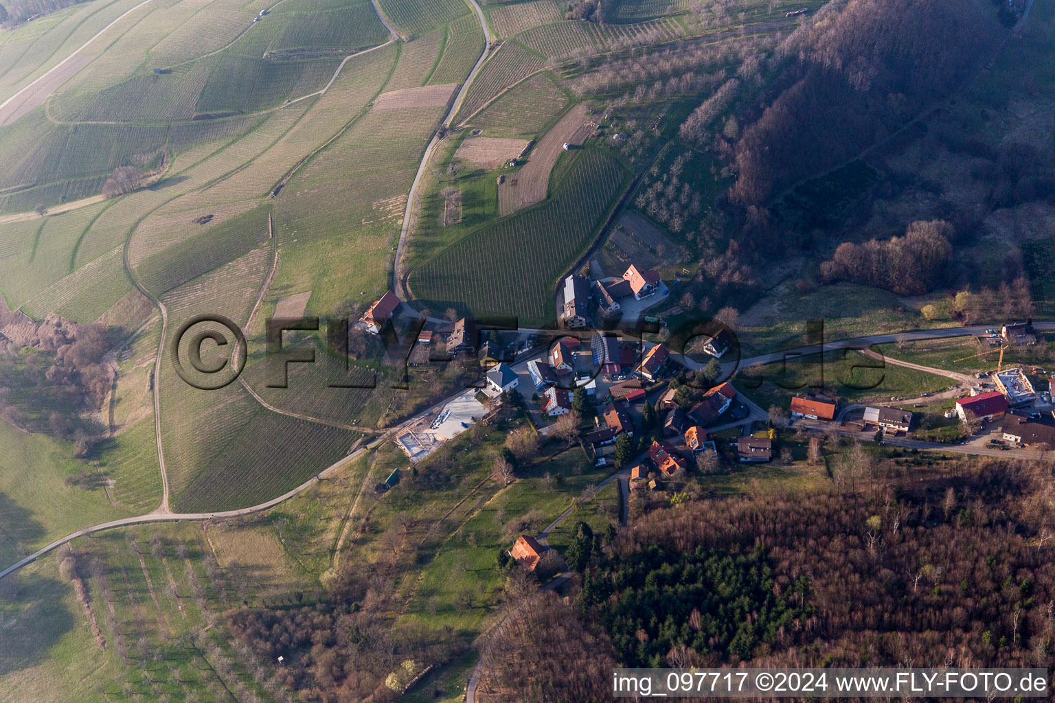 Sasbachwalden dans le département Bade-Wurtemberg, Allemagne d'en haut