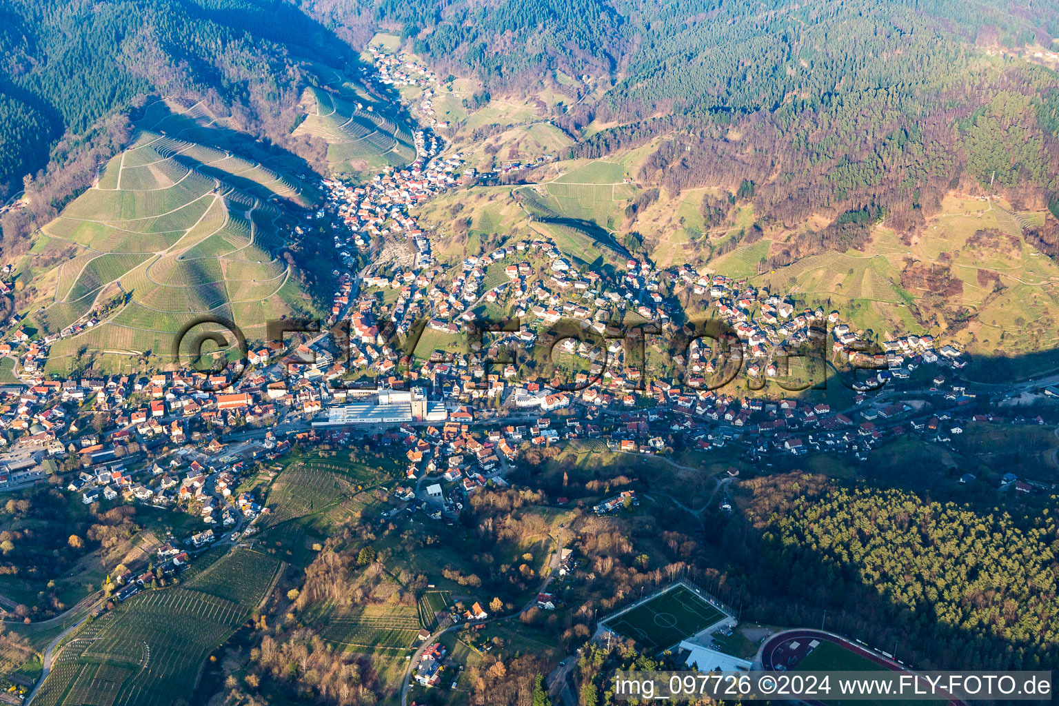 Photographie aérienne de Bühlertal dans le département Bade-Wurtemberg, Allemagne