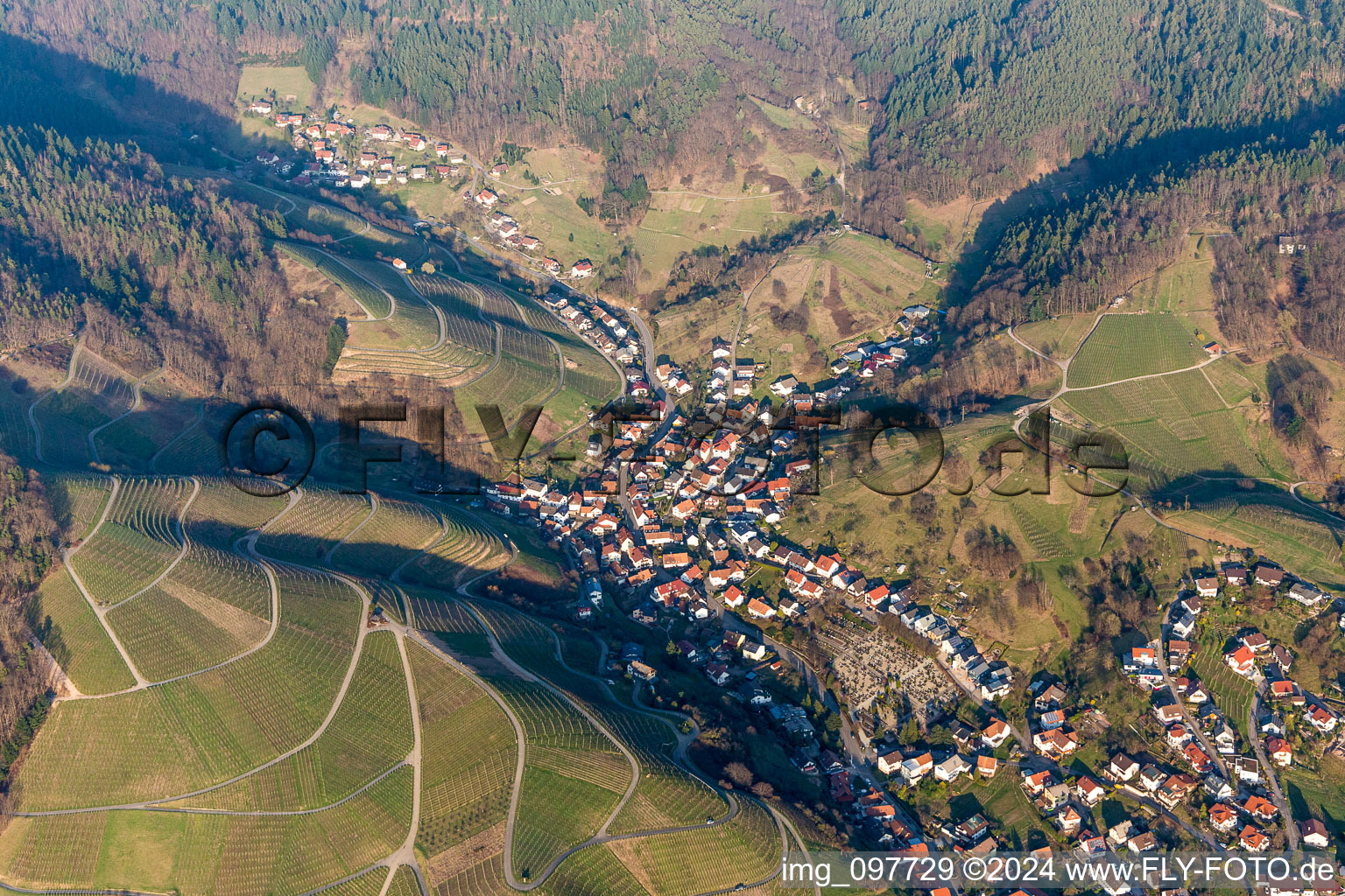 Vue aérienne de Vignobles de la Forêt-Noire à le quartier Liehenbach in Bühlertal dans le département Bade-Wurtemberg, Allemagne