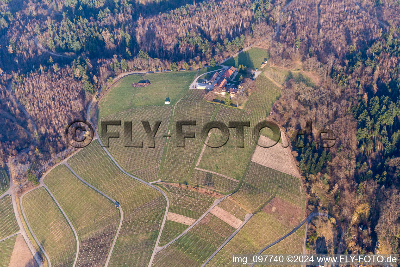 Vue aérienne de Vignobles du domaine viticole Nägelsförst - paysage des régions viticoles à le quartier Varnhalt in Baden-Baden dans le département Bade-Wurtemberg, Allemagne