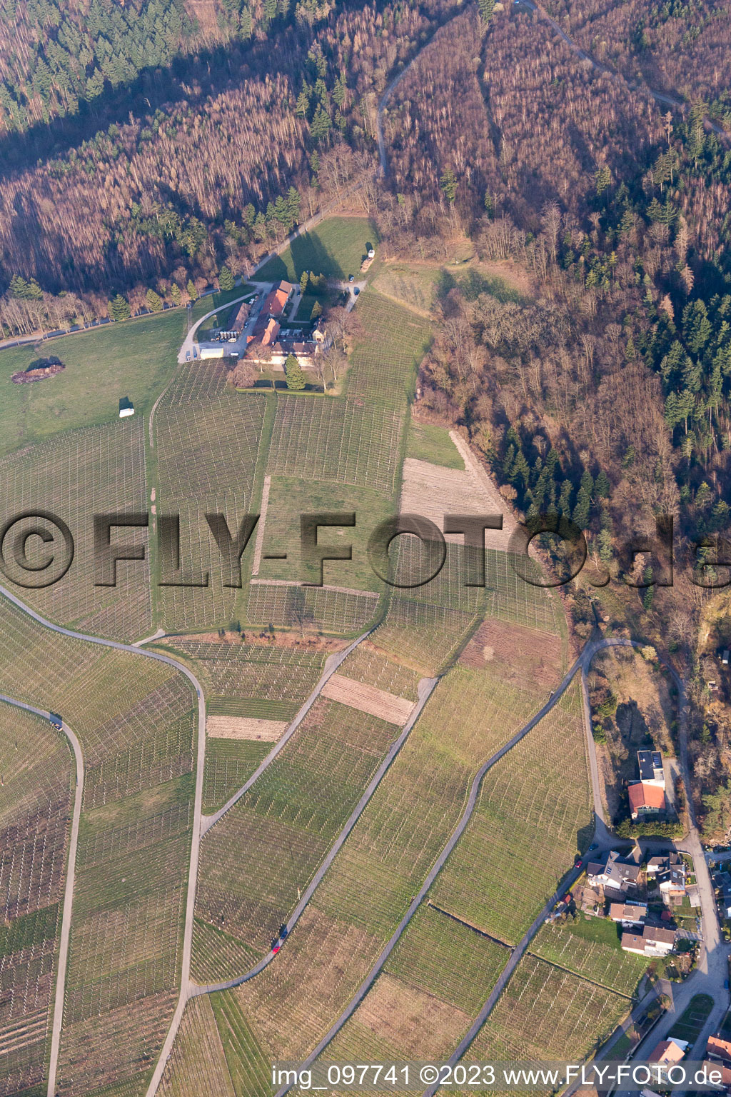 Vue aérienne de Domaine viticole Nägelsförst à le quartier Varnhalt in Baden-Baden dans le département Bade-Wurtemberg, Allemagne