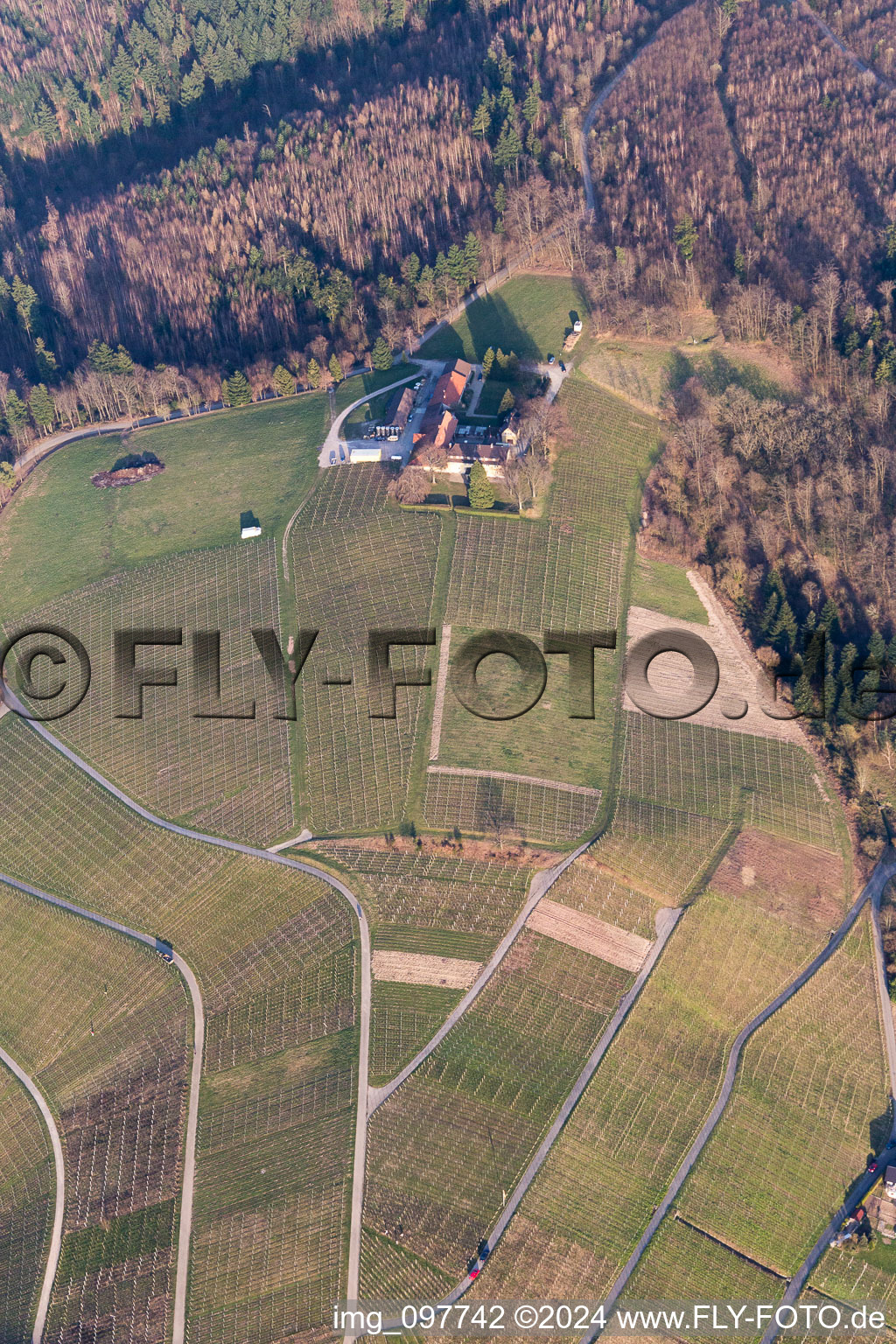 Vue aérienne de Vignobles du domaine viticole Nägelsförst - paysage des régions viticoles à le quartier Varnhalt in Baden-Baden dans le département Bade-Wurtemberg, Allemagne