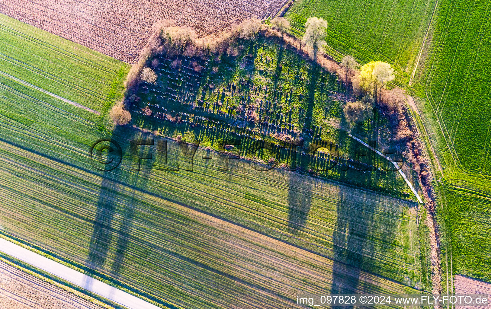 Vue aérienne de Vieux cimetière juif de Trimbach à Trimbach dans le département Bas Rhin, France