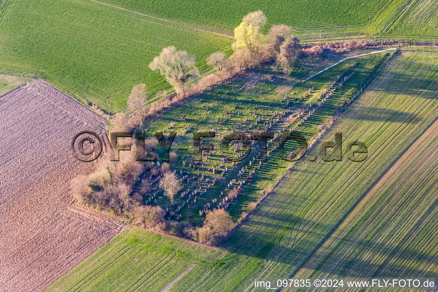 Photographie aérienne de Vieux cimetière juif à Trimbach dans le département Bas Rhin, France