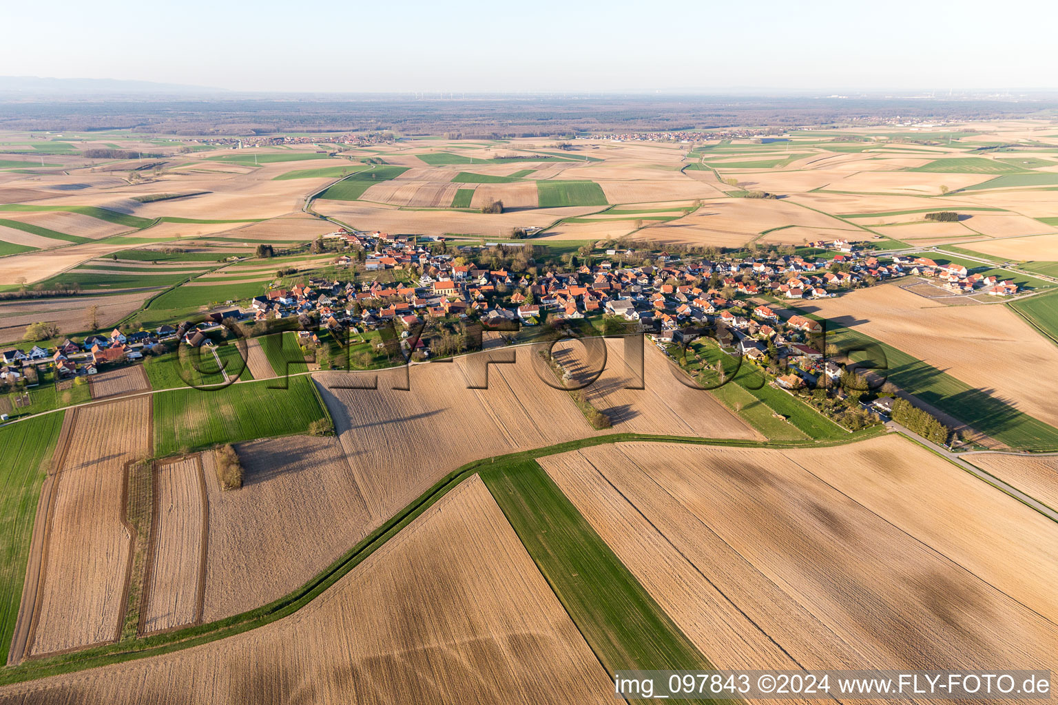 Vue aérienne de Champs agricoles et surfaces utilisables à Oberlauterbach dans le département Bas Rhin, France