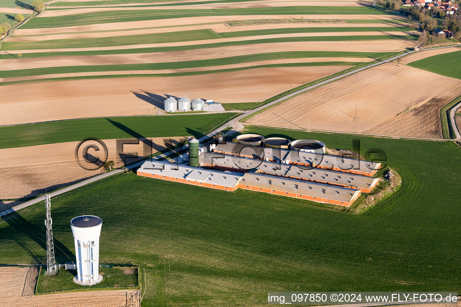 Vue aérienne de Écuries pour l'élevage de porcs dans une ferme en bordure de champs cultivés à Wintzenbach dans le département Bas Rhin, France