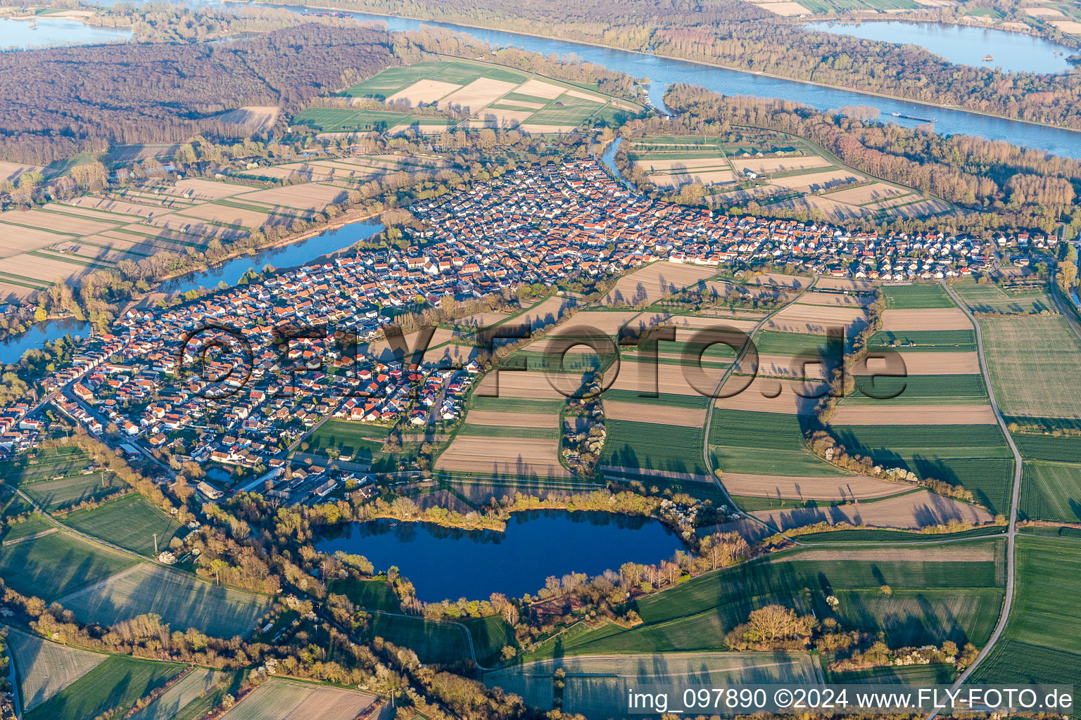 Vue aérienne de Zones riveraines du Rhin sur le Rhin à Neuburg dans le département Rhénanie-Palatinat, Allemagne