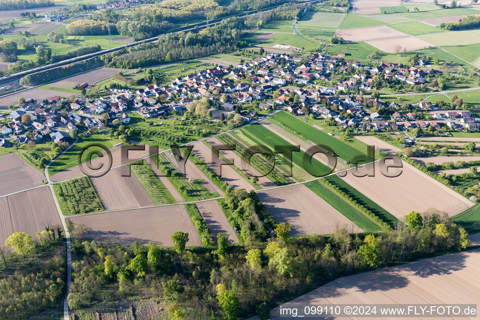 Vue aérienne de Quartier Balzhofen in Bühl dans le département Bade-Wurtemberg, Allemagne