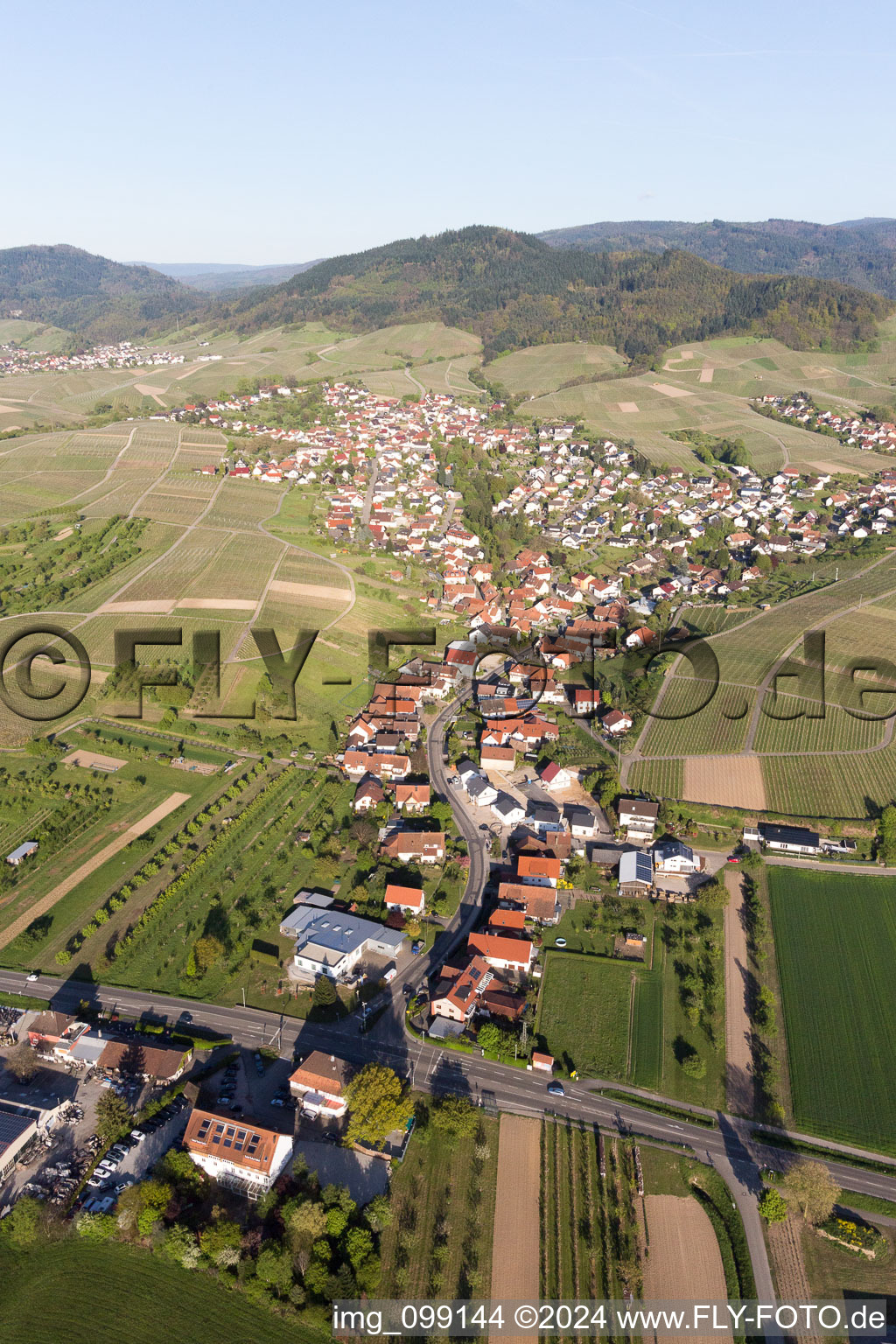 Vue oblique de Quartier Eisental in Bühl dans le département Bade-Wurtemberg, Allemagne