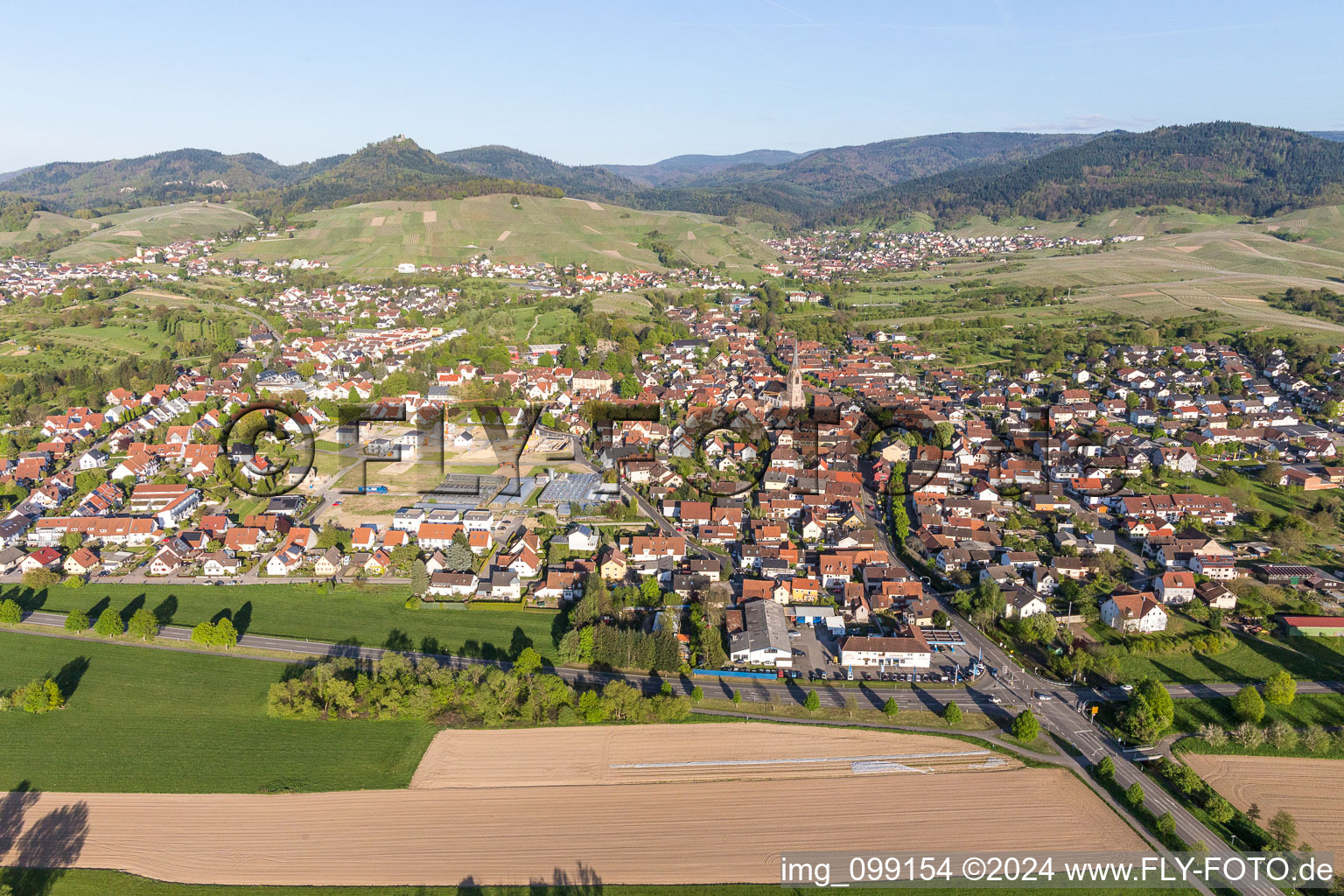 Photographie aérienne de Quartier Steinbach in Baden-Baden dans le département Bade-Wurtemberg, Allemagne