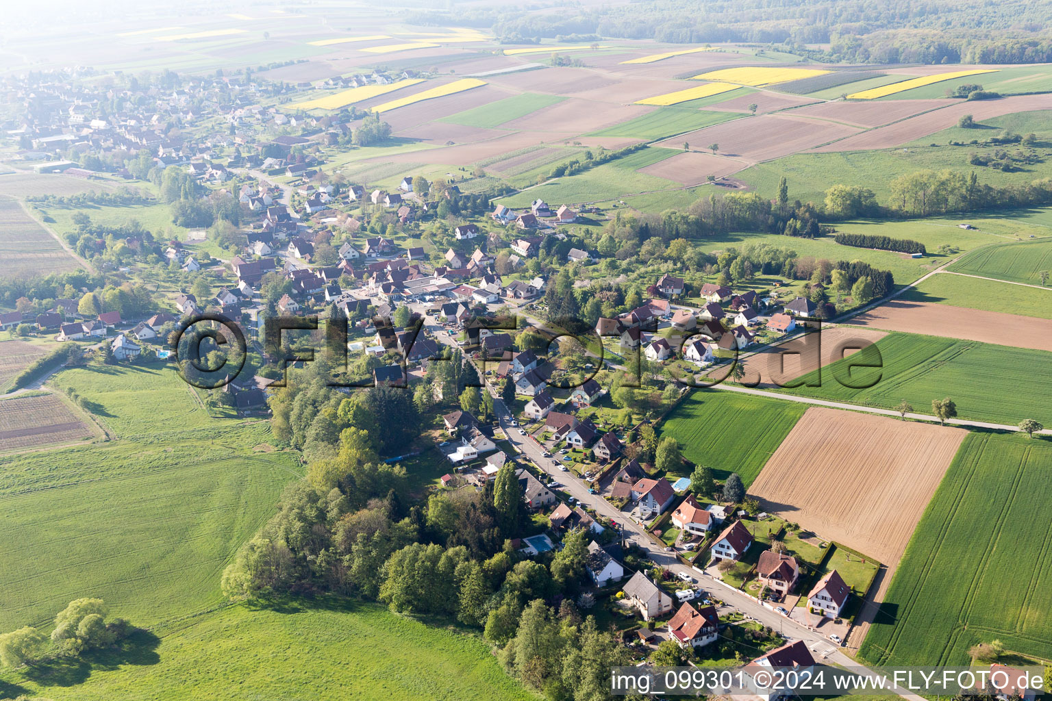 Rott dans le département Bas Rhin, France vu d'un drone