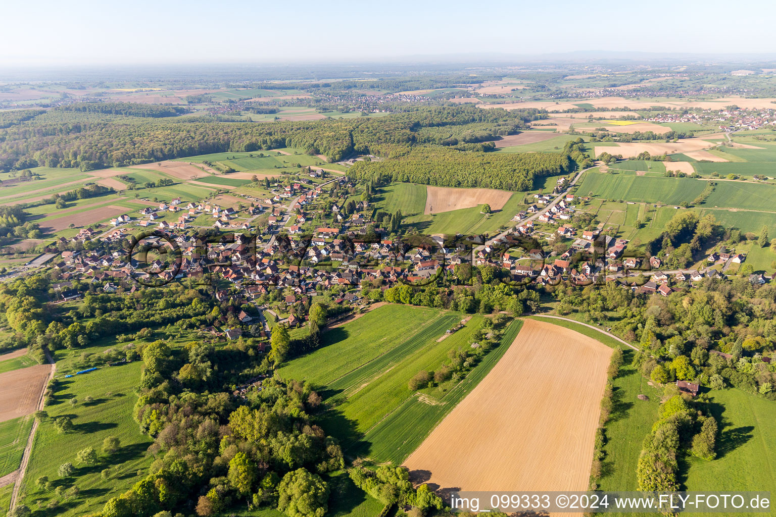 Vue aérienne de Champs agricoles et surfaces utilisables à Lobsann dans le département Bas Rhin, France