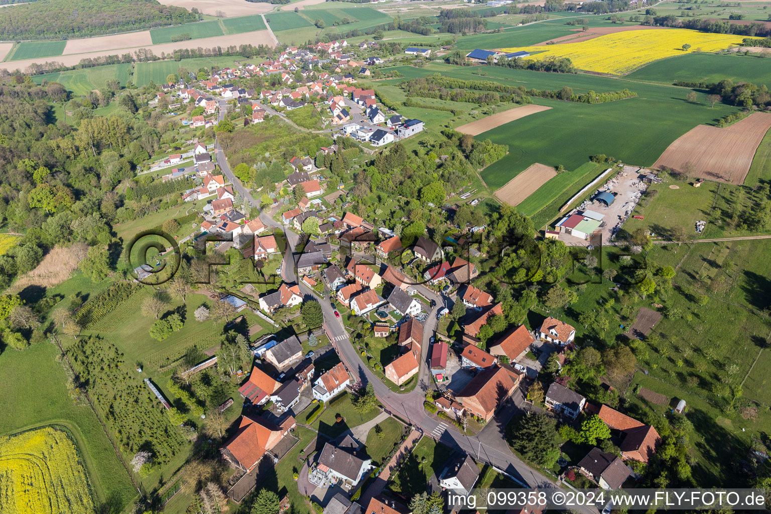 Vue aérienne de Champs agricoles et surfaces utilisables à Gunstett dans le département Bas Rhin, France