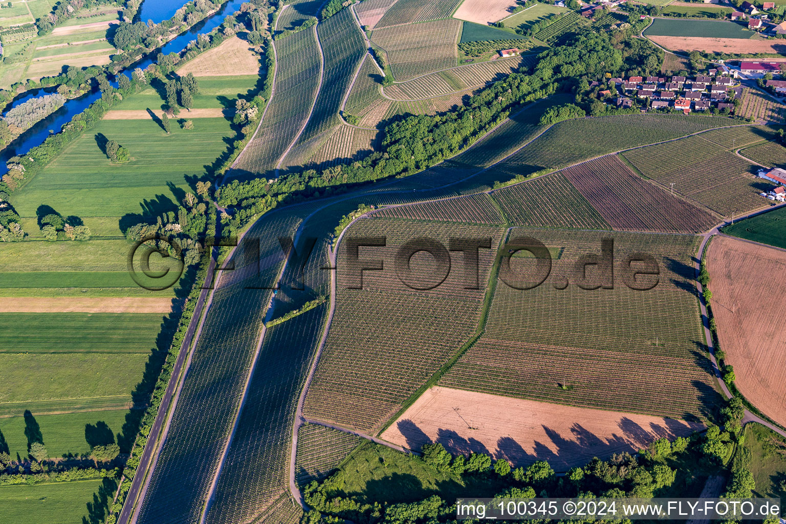 Vue aérienne de Vignoble Neueser Glatzen à le quartier Neuses am Berg in Dettelbach dans le département Bavière, Allemagne