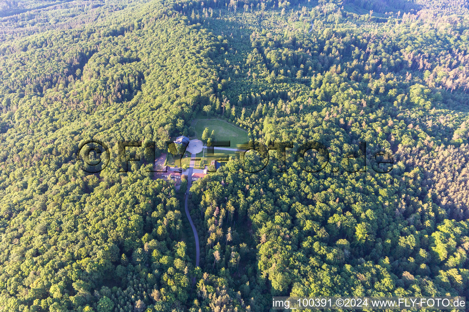 Vue aérienne de Ferme dans la forêt à Abtswind dans le département Bavière, Allemagne