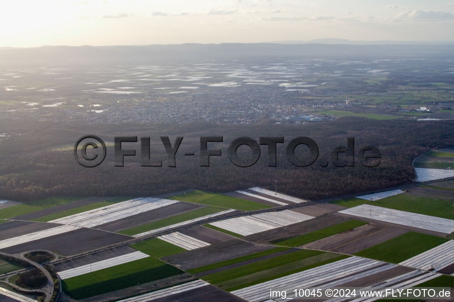 Otterstadt dans le département Rhénanie-Palatinat, Allemagne d'en haut