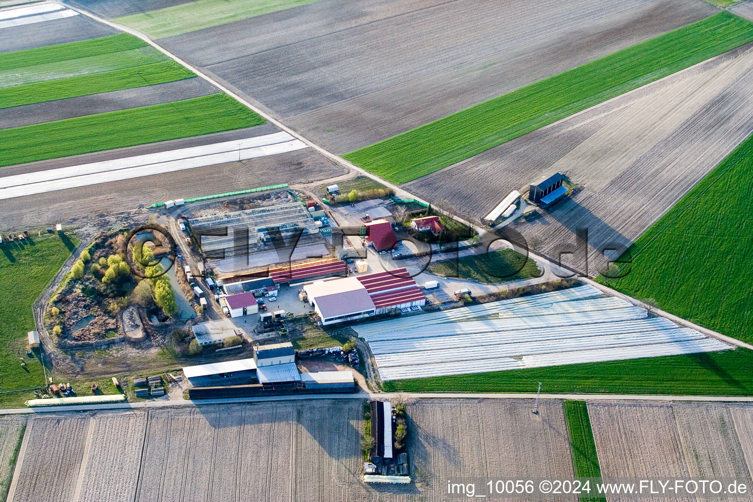 Otterstadt dans le département Rhénanie-Palatinat, Allemagne vue du ciel