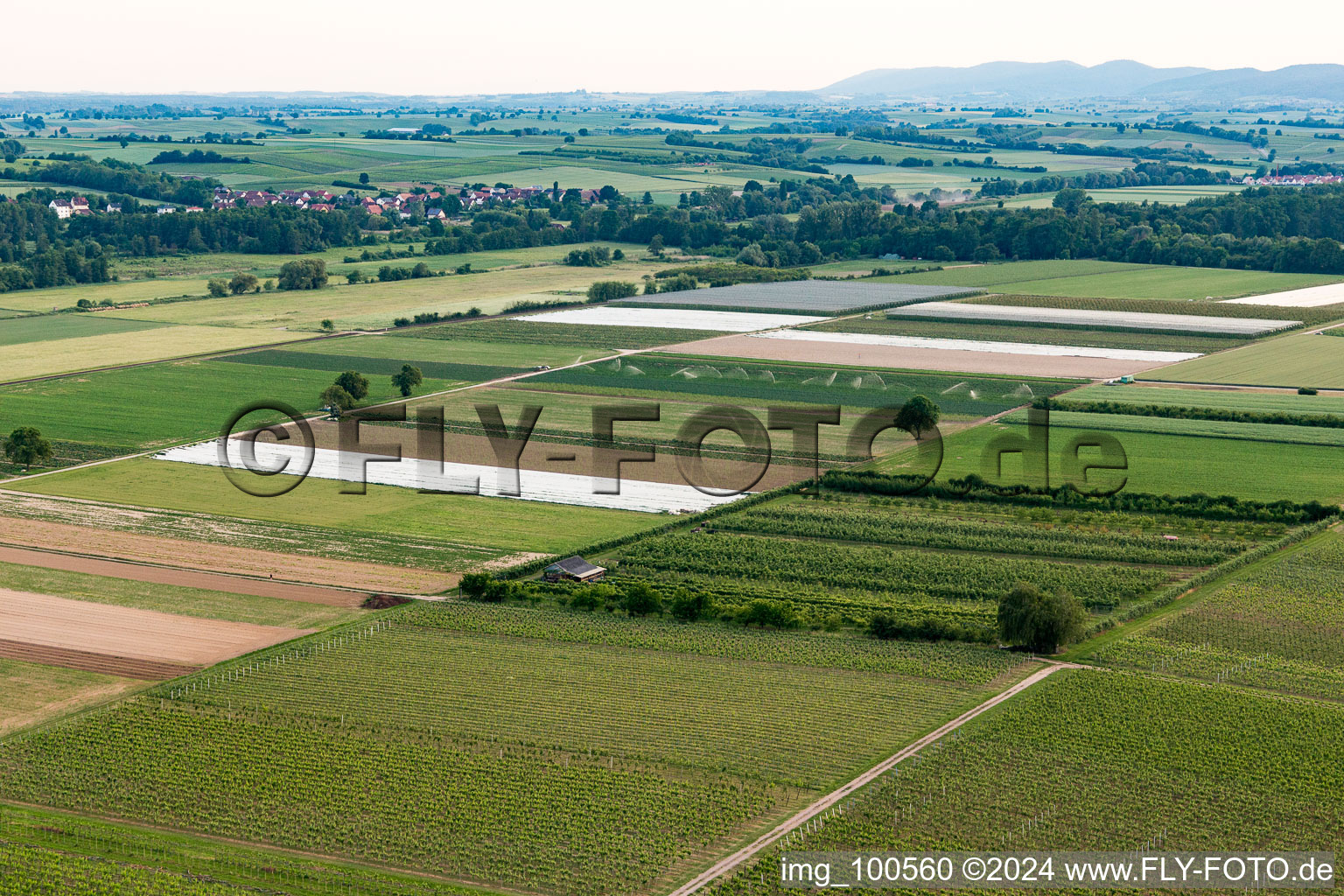 Vue aérienne de Le verger d'Eier-Meier à Winden dans le département Rhénanie-Palatinat, Allemagne