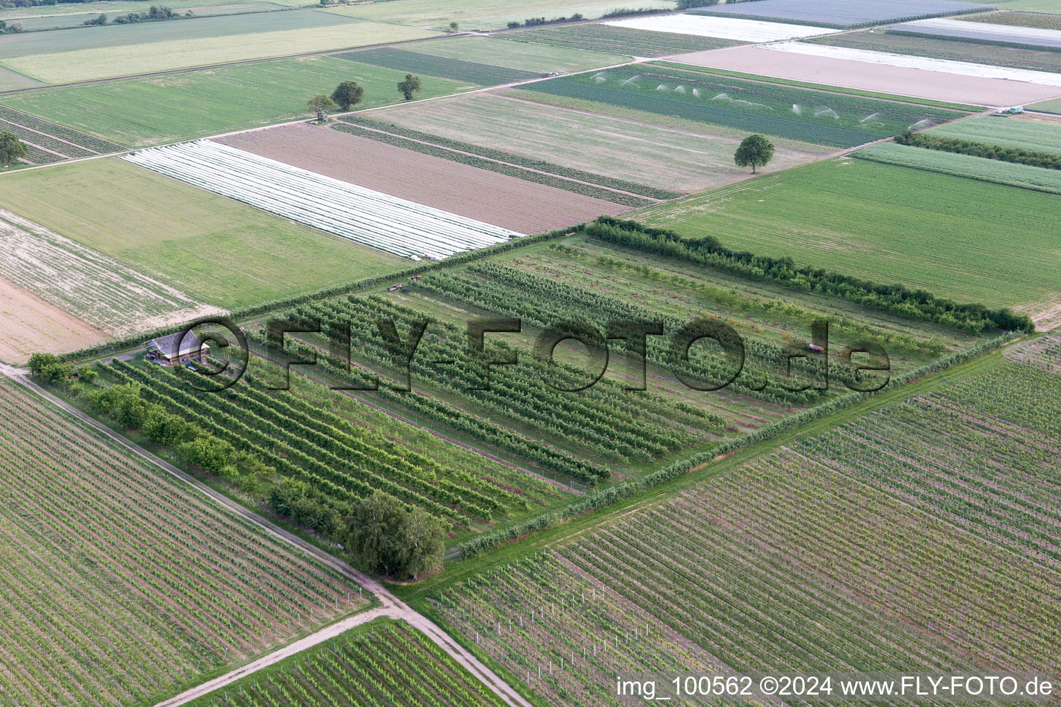 Vue oblique de Le verger d'Eier-Meier à Winden dans le département Rhénanie-Palatinat, Allemagne