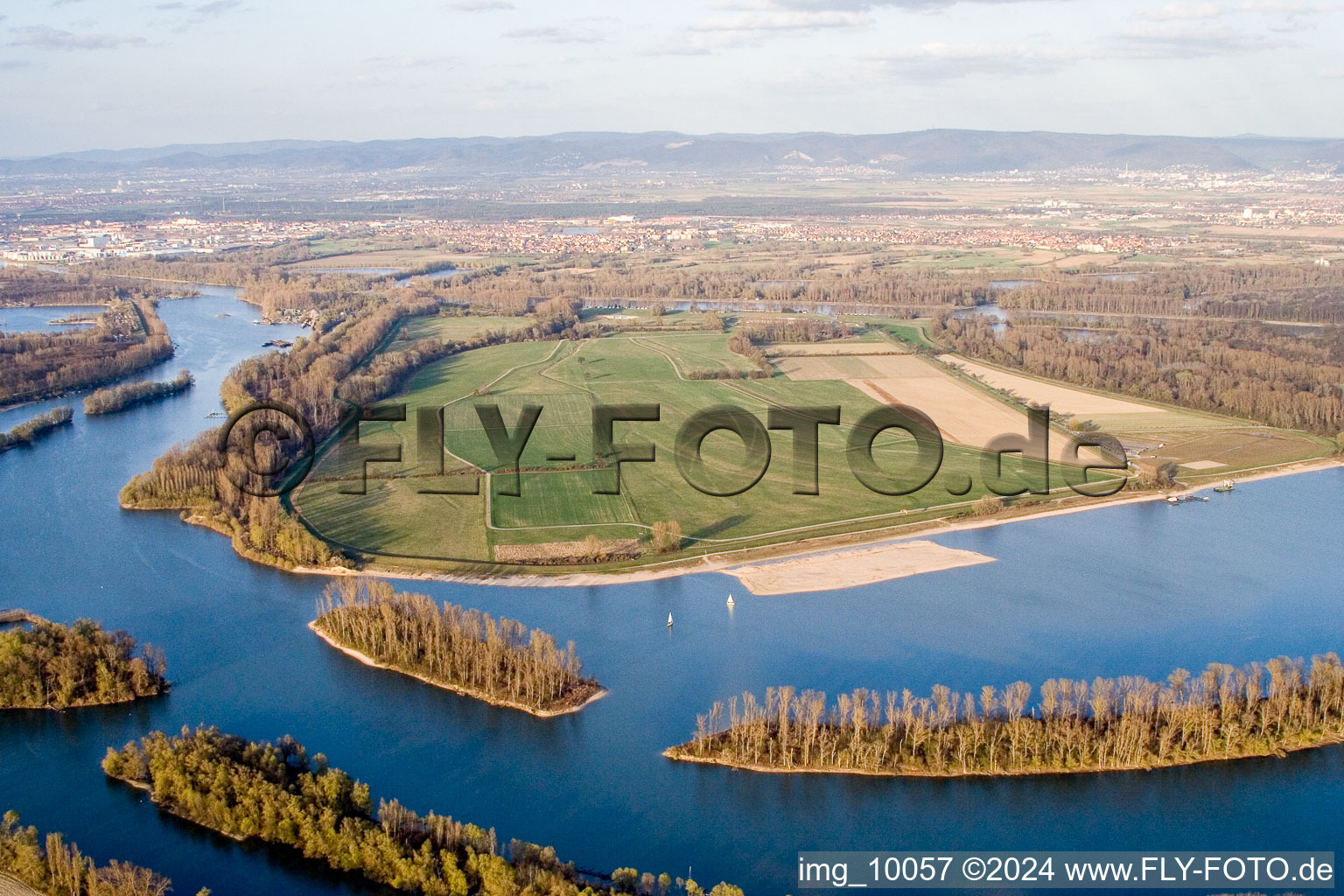 Vue aérienne de Île de Koller sur les rives de la rivière Koller See et de l'Otterstädter Altrhein à Otterstadt dans le département Rhénanie-Palatinat, Allemagne