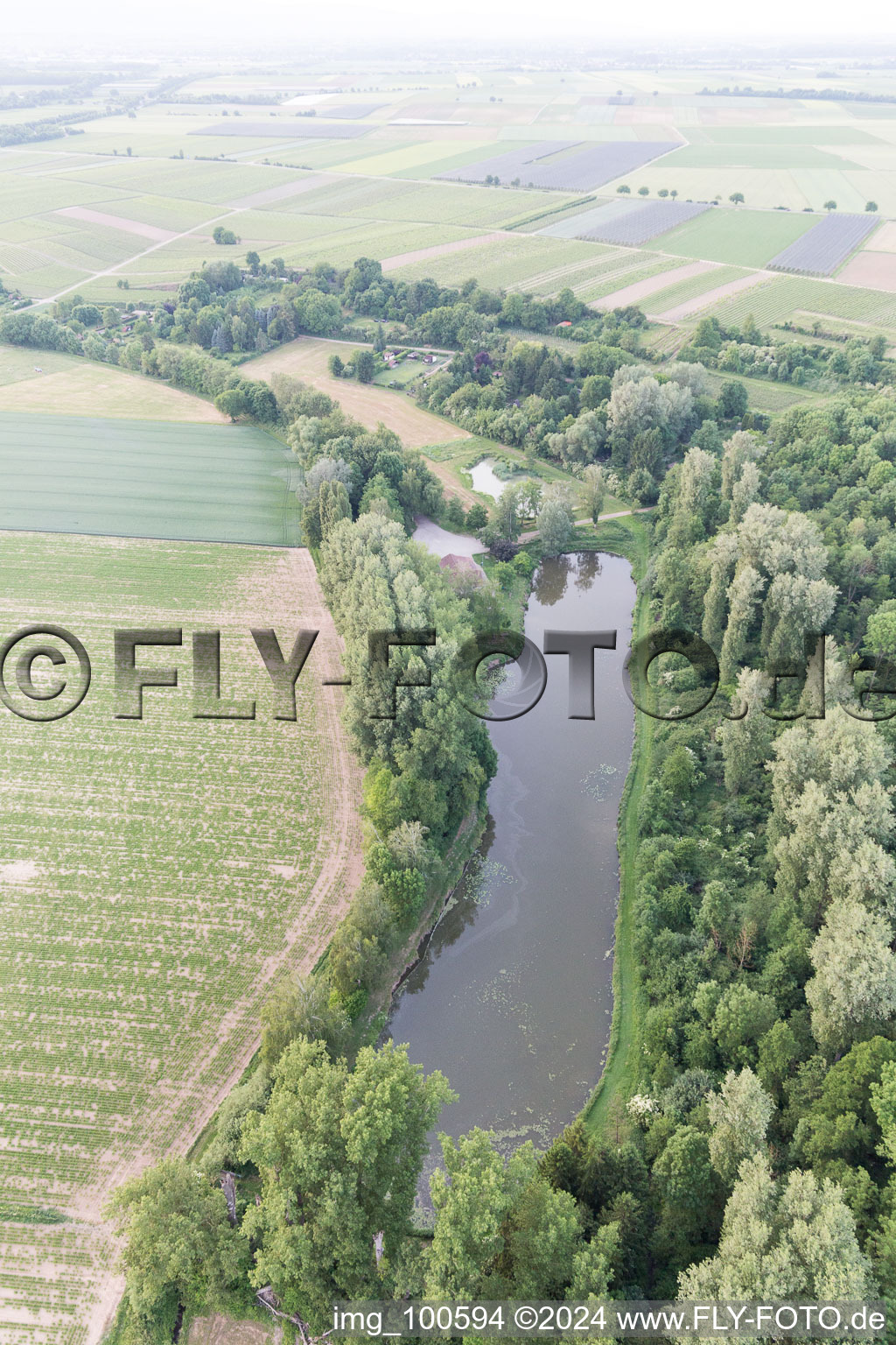 Insheim dans le département Rhénanie-Palatinat, Allemagne vue d'en haut