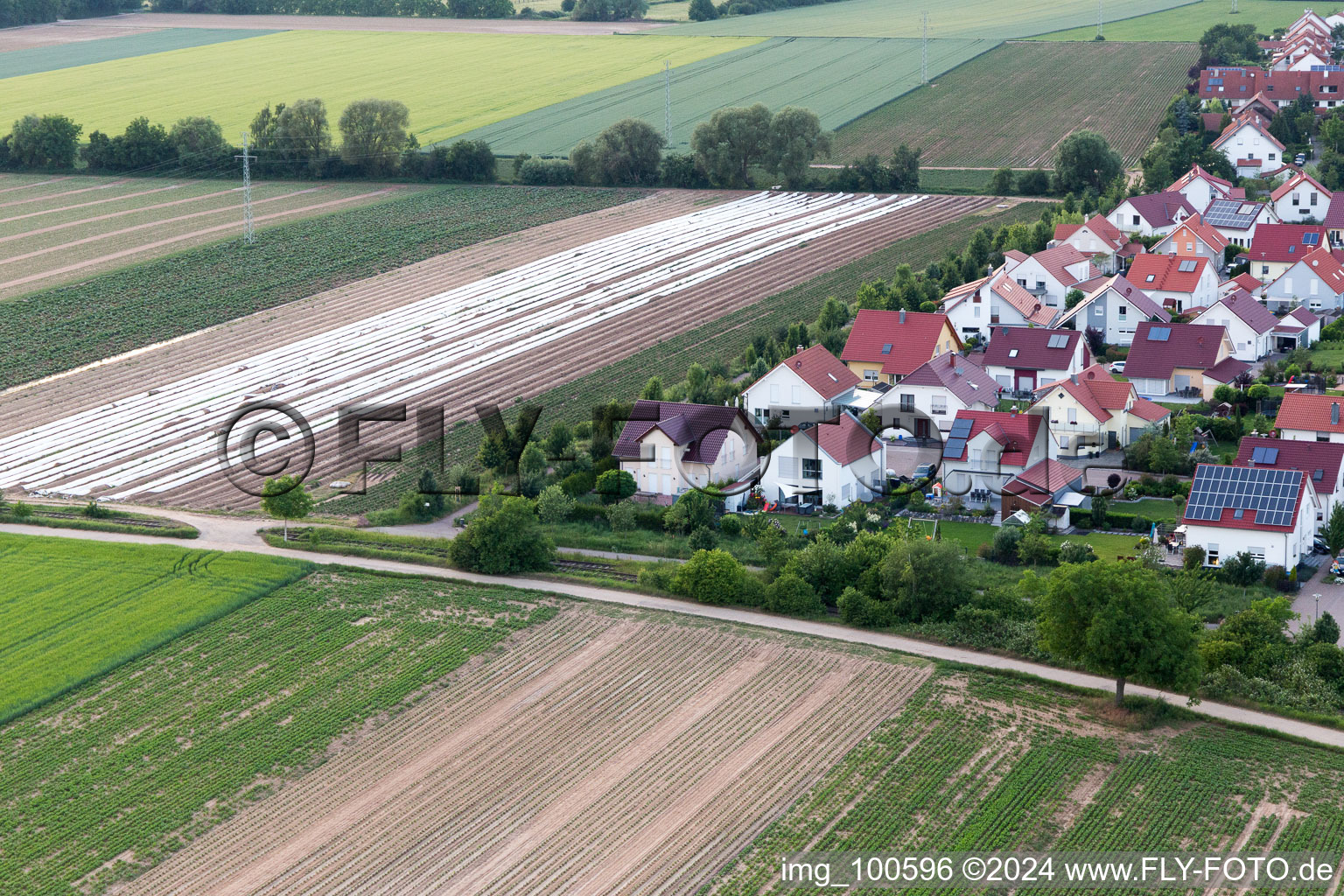 Vue oblique de Quartier Mörlheim in Landau in der Pfalz dans le département Rhénanie-Palatinat, Allemagne