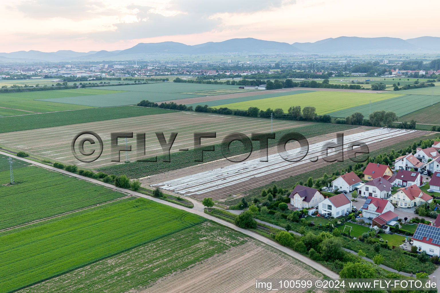 Quartier Mörlheim in Landau in der Pfalz dans le département Rhénanie-Palatinat, Allemagne vue d'en haut