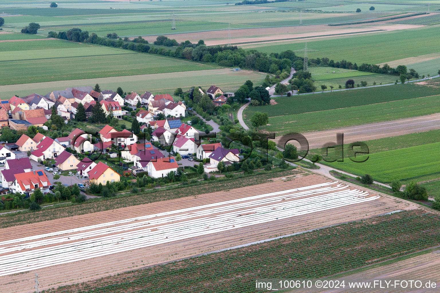 Quartier Mörlheim in Landau in der Pfalz dans le département Rhénanie-Palatinat, Allemagne vu d'un drone